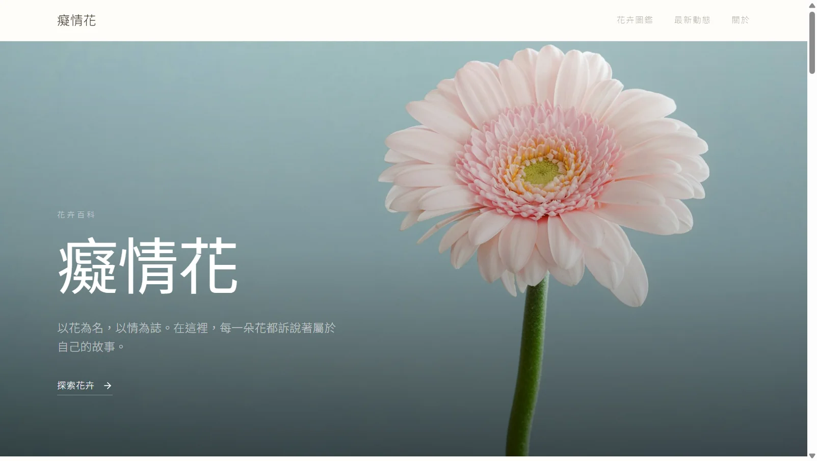 癡情花 網站截圖